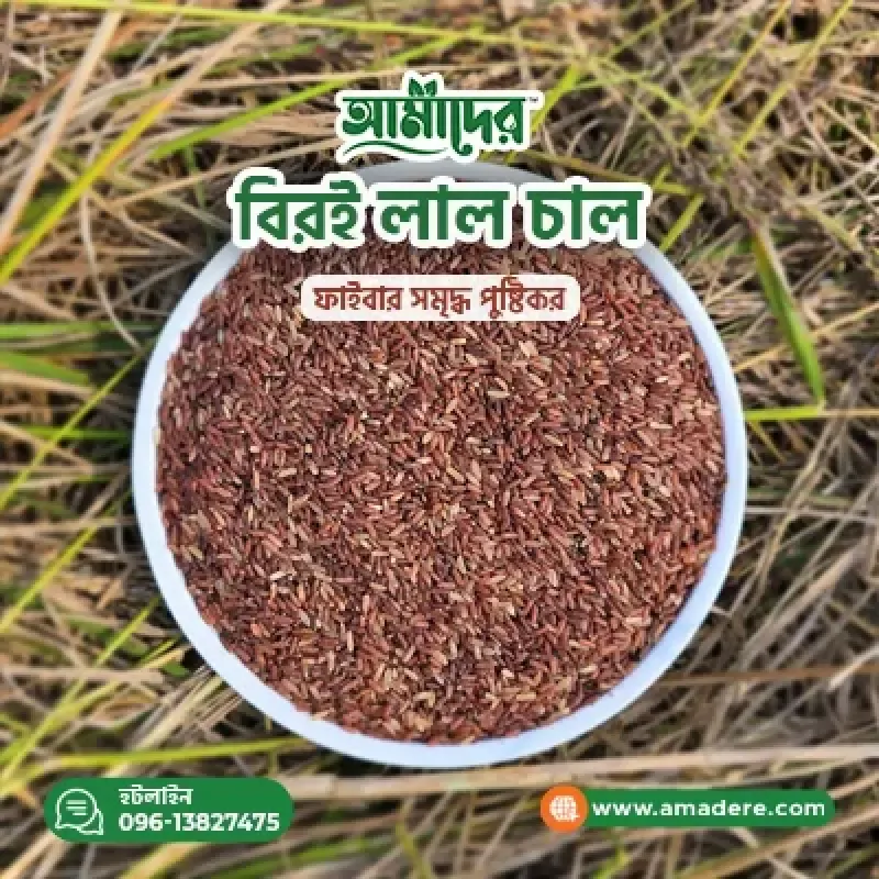 লাল চাল বনাম আমন ধানের চাল: পুষ্টিগুণ, দাম ও স্বাস্থ্য উপকারিতা