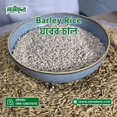 আমাদের যবের চাল ১ কেজি | Barley Rice in Bangladesh 1 kg