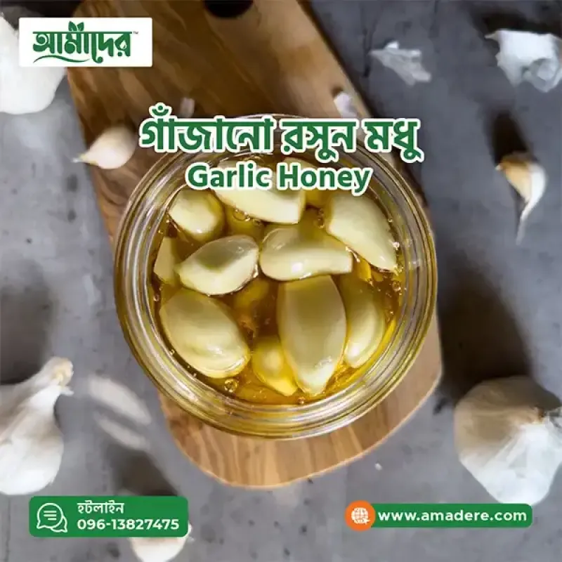 রসুন কে কেন গরিবের পেনিসিলিন বলা হয়?