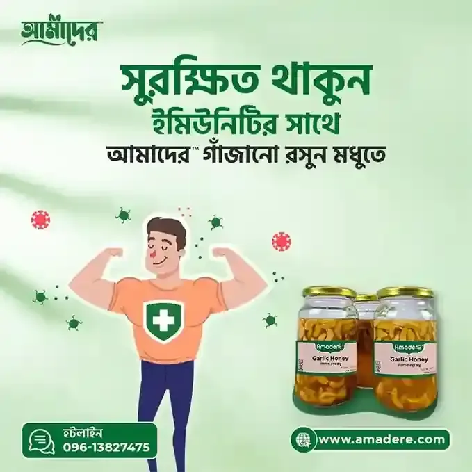Fermented Garlic Honey: প্রাকৃতিকভাবে ইমিউন বাড়াতে রসুন-মধুর শক্তি