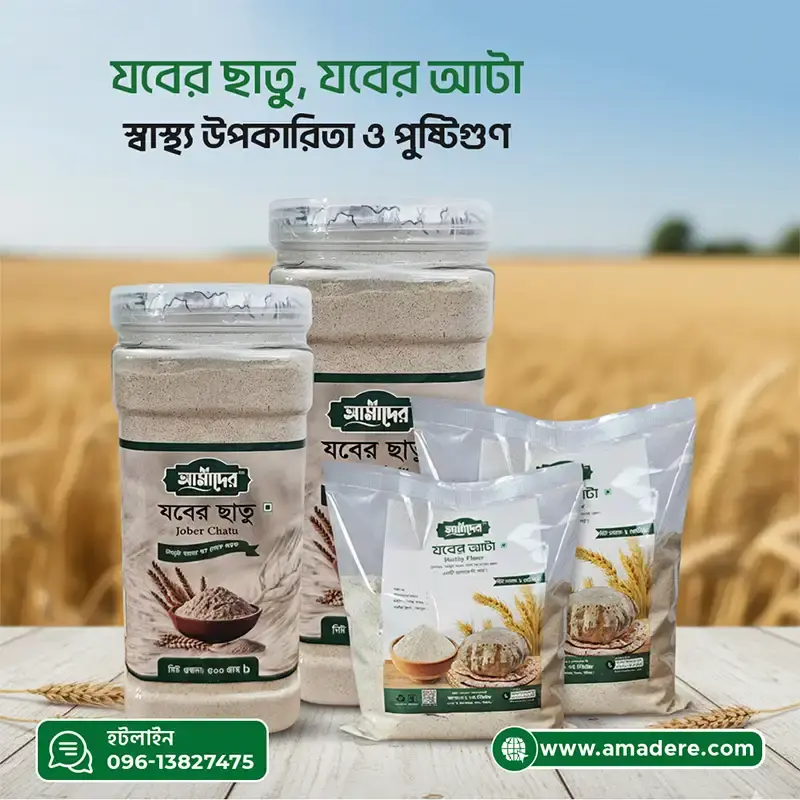 যবের ছাতু ও যবের আটা স্বাস্থ্য উপকারিতা, ব্যবহার ও পুষ্টিগুণ