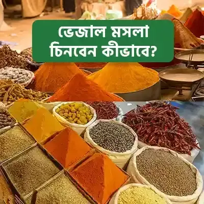 ভেজাল মসলা চিনবেন কীভাবে? ৭টি সহজ টেস্ট (বাংলাদেশ গাইড)