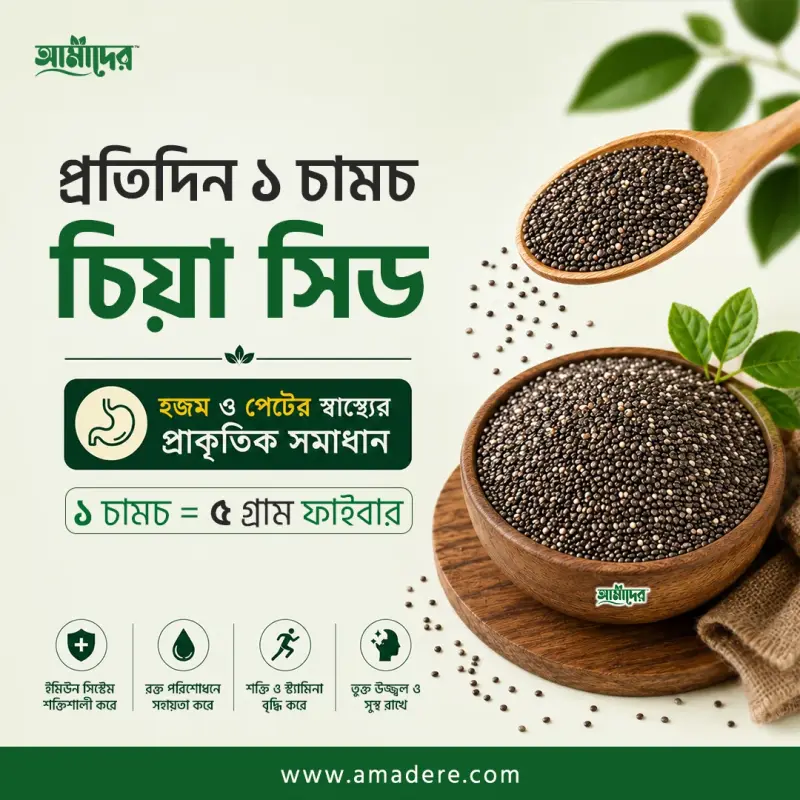 প্রতিদিন ১ চামচ চিয়া সিড খেলে কী হয়? হজম ও পেটের স্বাস্থ্যে অবাক করা উপকারিতা