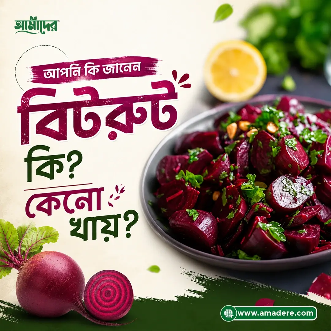 বিটরুট পাউডার কী? উপকারিতা, খাওয়ার নিয়ম, পুষ্টিগুণ ও ব্যবহার