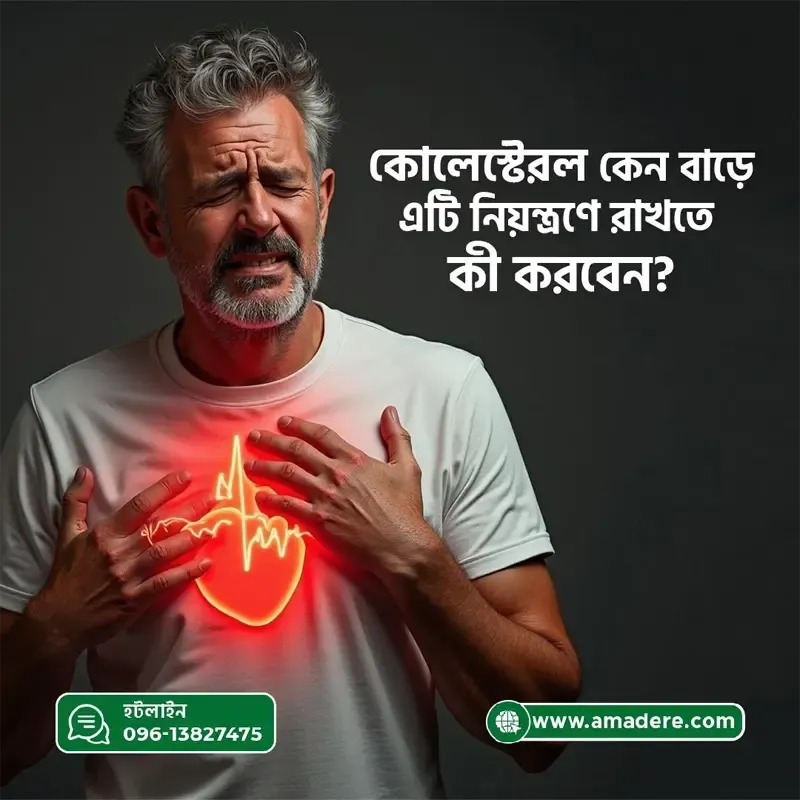 কোলেস্টেরল কেন বাড়ে এটি নিয়ন্ত্রণে রাখতে কী করবেন?
