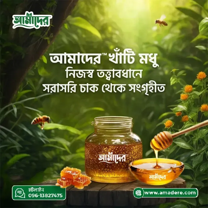 মধু খাওয়ার নিয়ম ও উপকারিতা | কখন মধু খাওয়া উচিত? | Amadere
