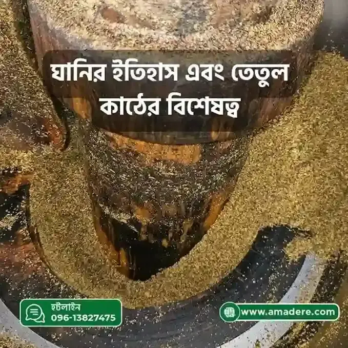 First-Pressed Amader Mustard Oil in Tamarind Wood Ghani