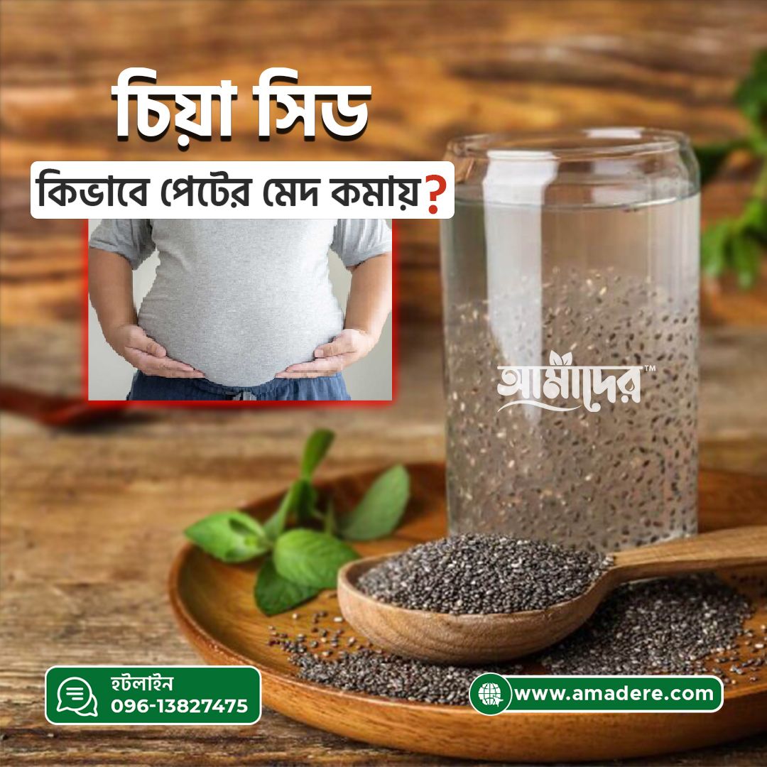 চিয়া সিড কীভাবে পেটের মেদ কমায়?