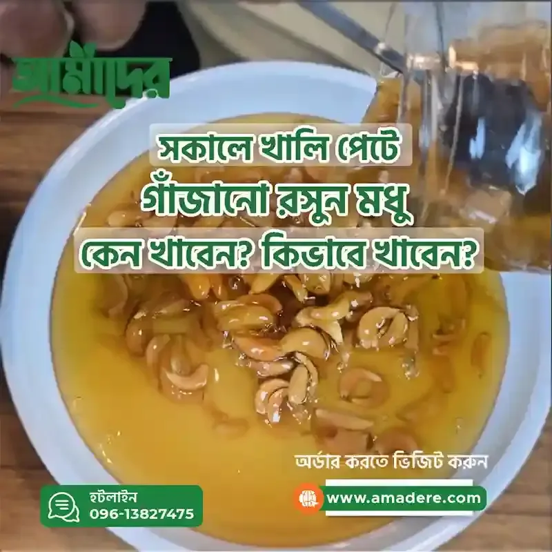 গাঁজানো রসুনের উপকারিতা | Fermented Garlic পার্থক্য, ব্যবহার ও সতর্কতা