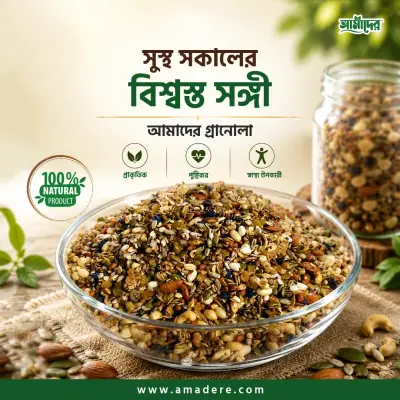 পুষ্টিকর গ্রানোলা | ১২ রকমের নাটসের শক্তি | আমাদের গ্রানোলা