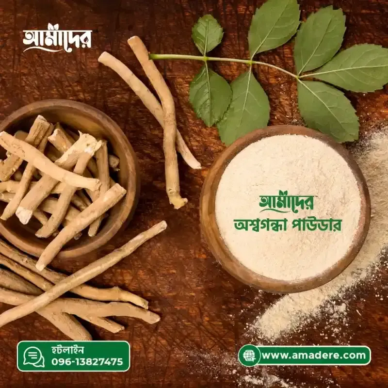 7 Science-Backed Ashwagandha Benefits You Need to Know | অশ্বগন্ধার ৭টি বিজ্ঞান-সমর্থিত উপকারিতা যা আপনার জানা দরকার