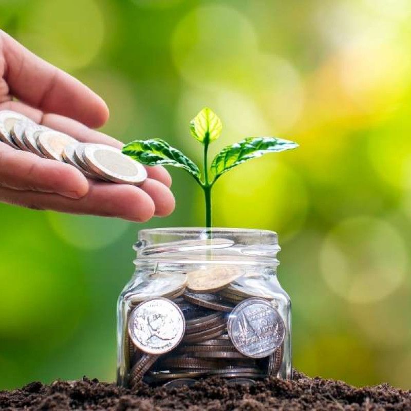🌱 Investor Wanted for Amadere.com – A Chemical Free Natural Food Revolution in Bangladesh🌱
