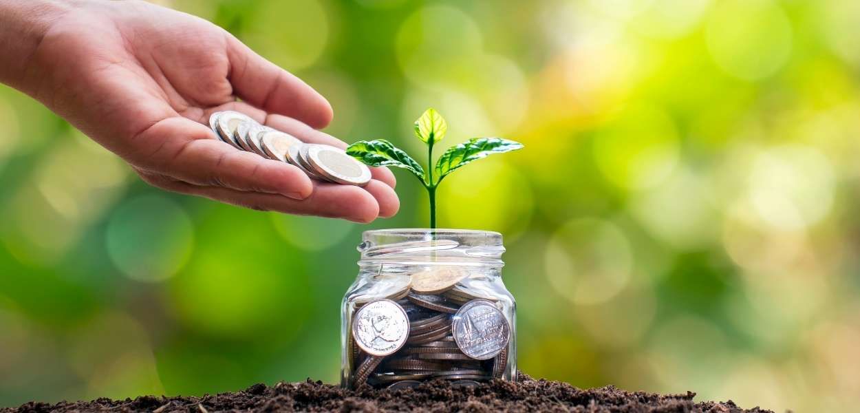 🌱 Investor Wanted for Amadere.com – A Chemical Free Natural Food Revolution in Bangladesh🌱
