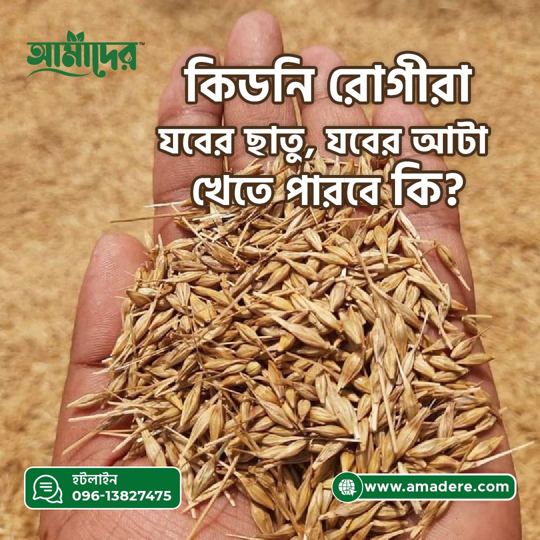 কিডনি রোগীরা যবের ছাতু, যবের আটা খেতে পারবে কি ?