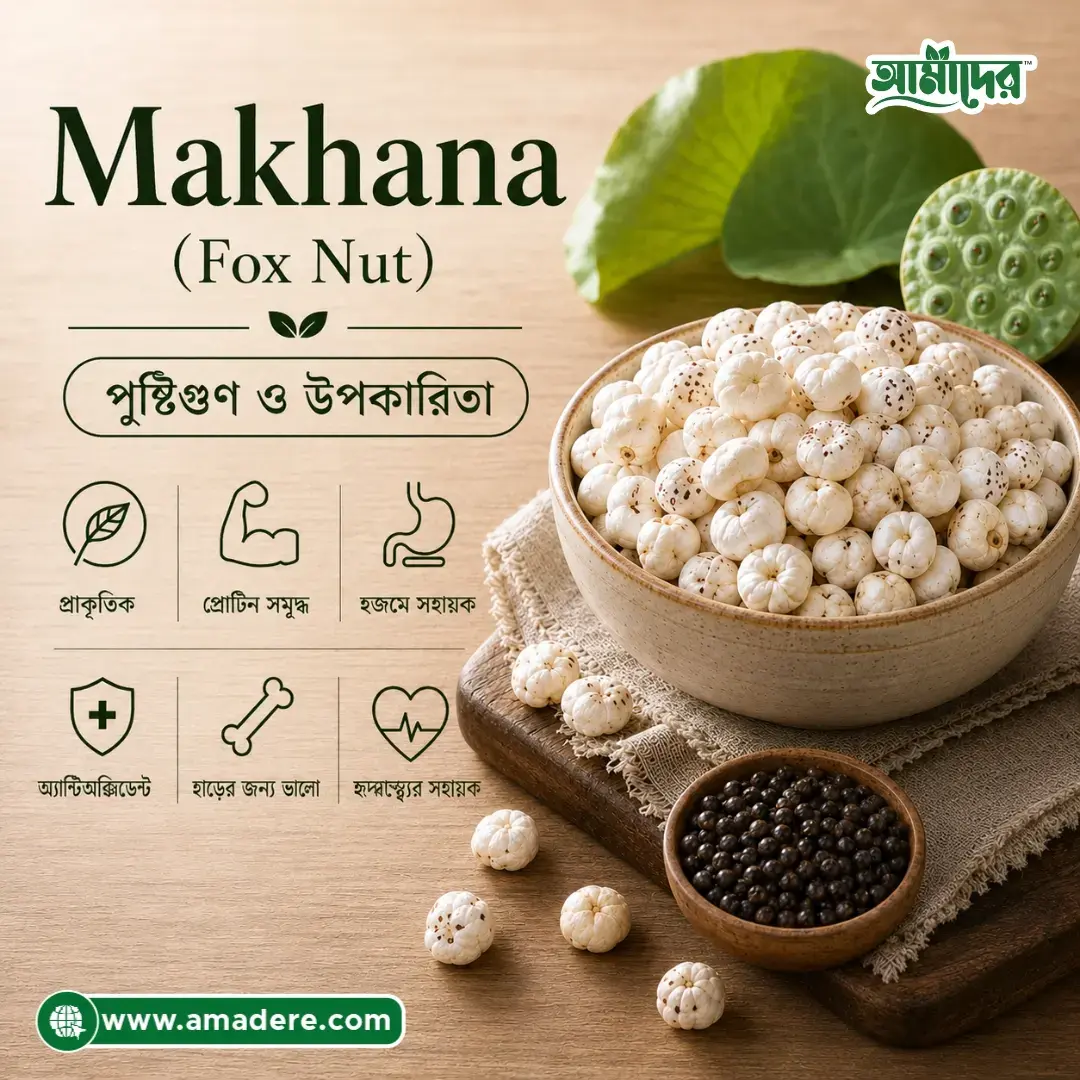 Makhana (Fox Nut) কী? পুষ্টিগুণ, সম্ভাব্য উপকারিতা, খাওয়ার নিয়ম ও সতর্কতা