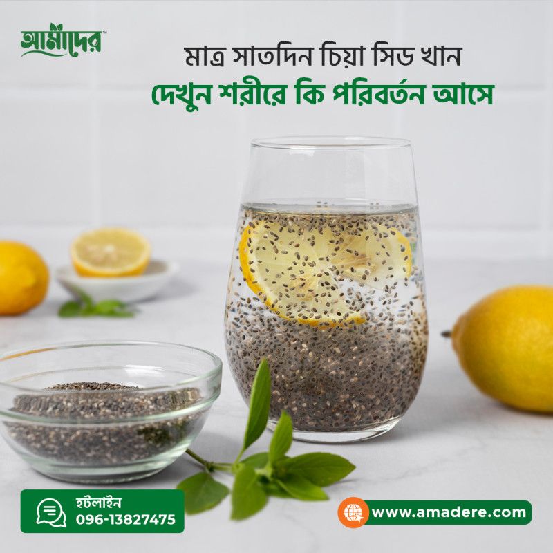 মাত্র সাতদিন চিয়া সিড খান আর দেখুন শরীরে কি কি পরিবর্তন আসে