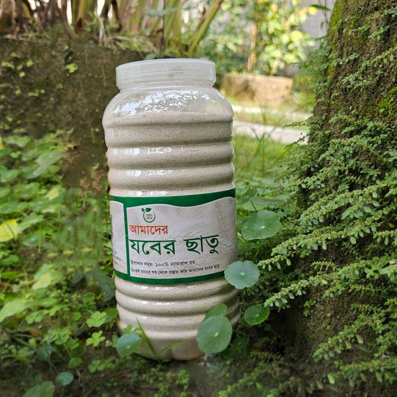 আপনি কি জানেন প্রতিদিন সকালবেলা পায়খানা ক্লিয়ার না হলে কি কি সমস্যা হতে পারে? কেন যবের ছাতু খাওয়া উচিত? Why should eat Jober Chatu (Barley Grist)