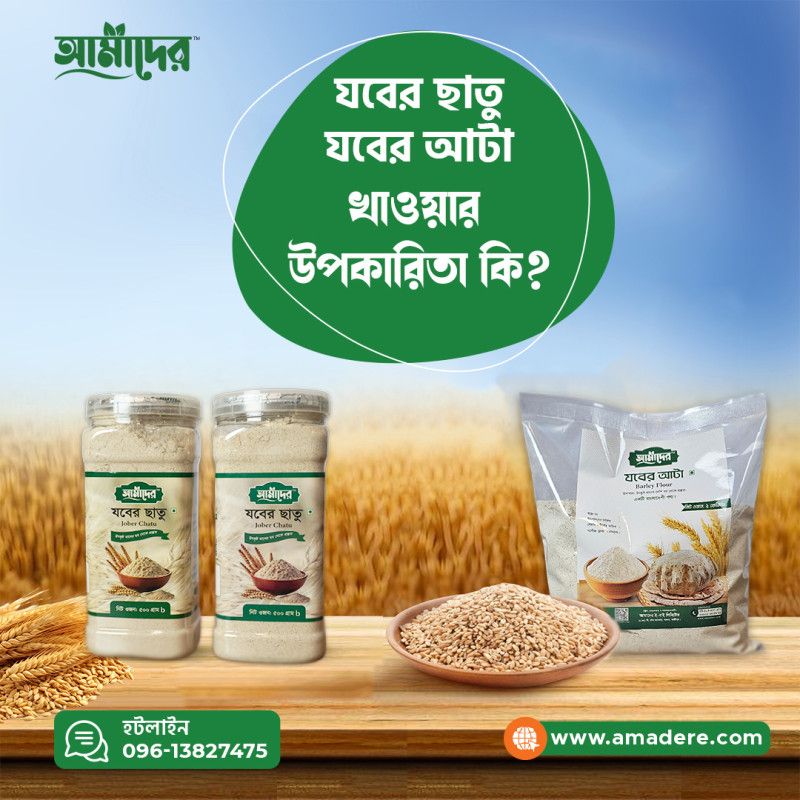 যবের ছাতু, যবের আটা খাওয়ার উপকারিতা কি? যবের ছাতুর রেসিপি, যবের ছাতু কোথায় পাওয়া যাই?